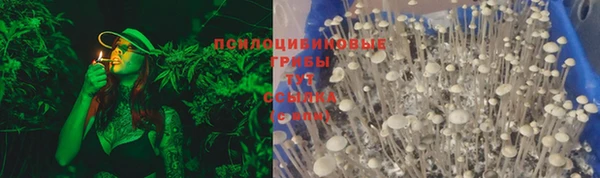 гидропоника Балахна