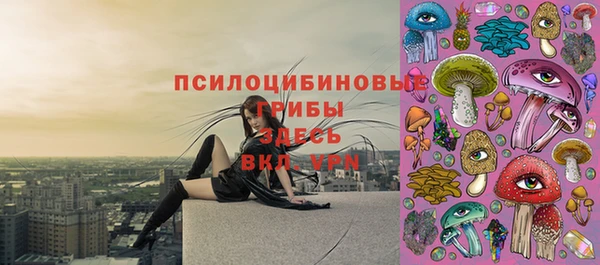 винт Баксан