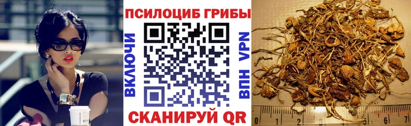 Галлюциногенные грибы Psilocybine cubensis  Обоянь 